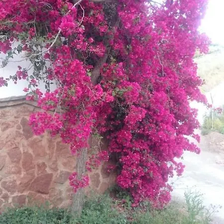 Casa Paraiso